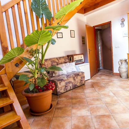 Holiday Home Juricko With Private Sauna Bizeljsko Zewnętrze zdjęcie