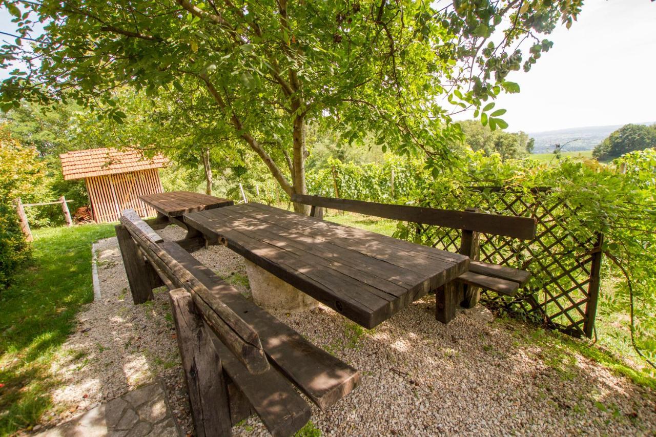 Holiday Home Juricko With Private Sauna Bizeljsko Zewnętrze zdjęcie