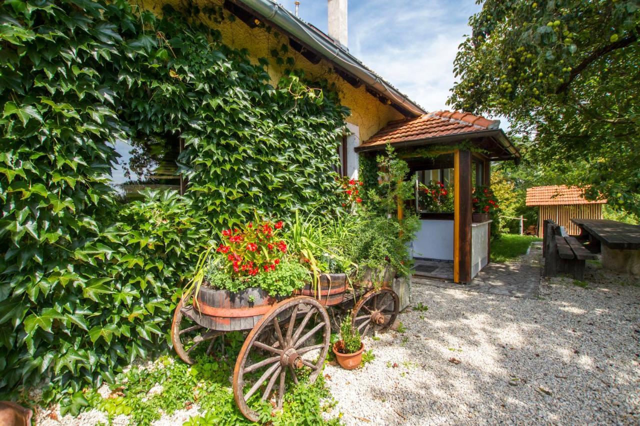 Holiday Home Juricko With Private Sauna Bizeljsko Zewnętrze zdjęcie